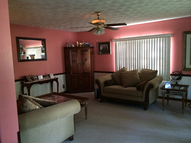 509 West 4th Street Spring Valley, IL 61362 - Photo 2 of 8 a living room with furniture and a window