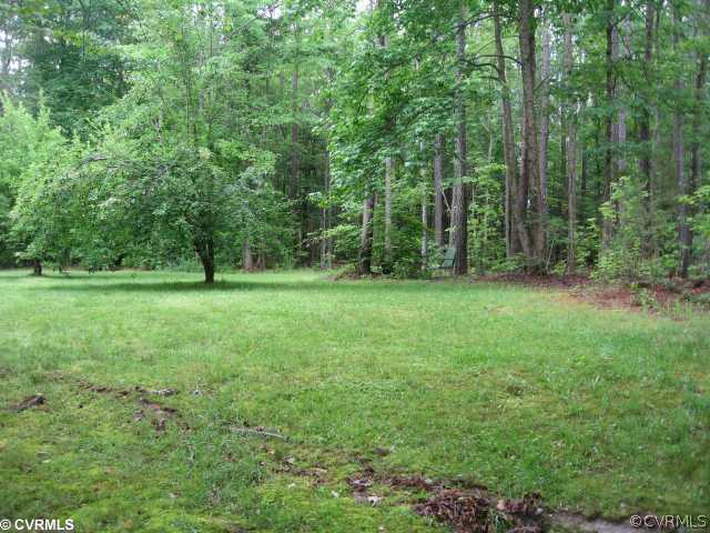 381 Edgar Road Hanover, VA 23069 - Photo 3 of 12 Yard/Garden