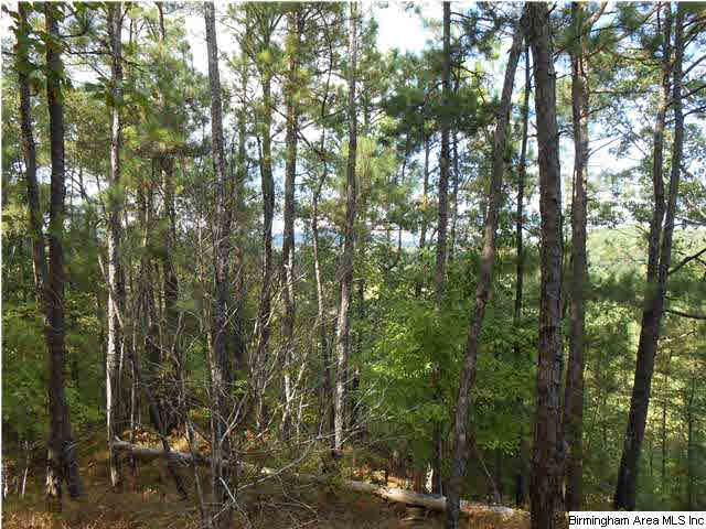 Meherg Road, Unit 28 Rockford, AL 35136 - Photo 19 of 25
