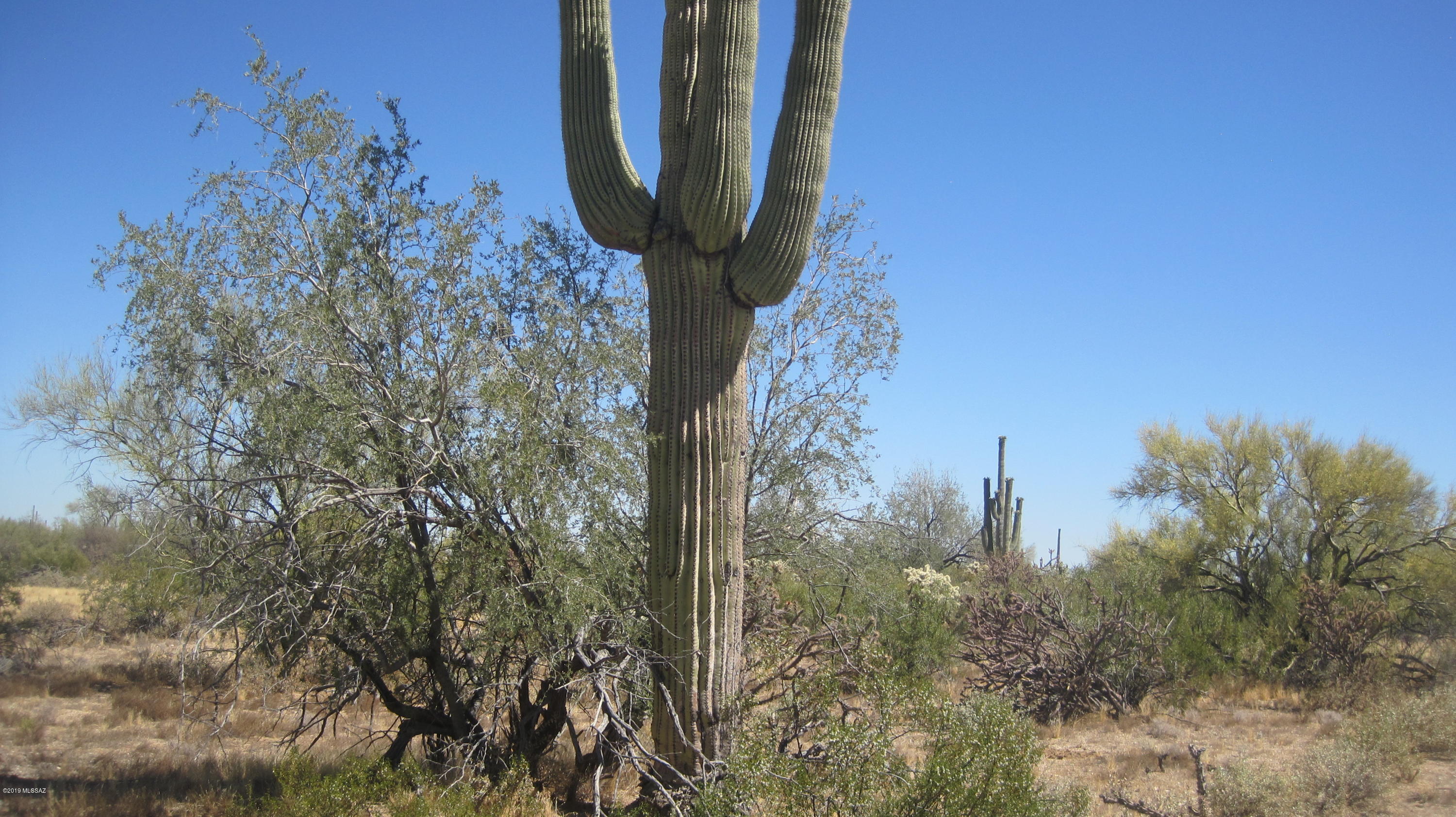 Oo South Cattle Tank Road, Unit 7 5 AC Marana, AZ 85658 - Photo 19 of 22