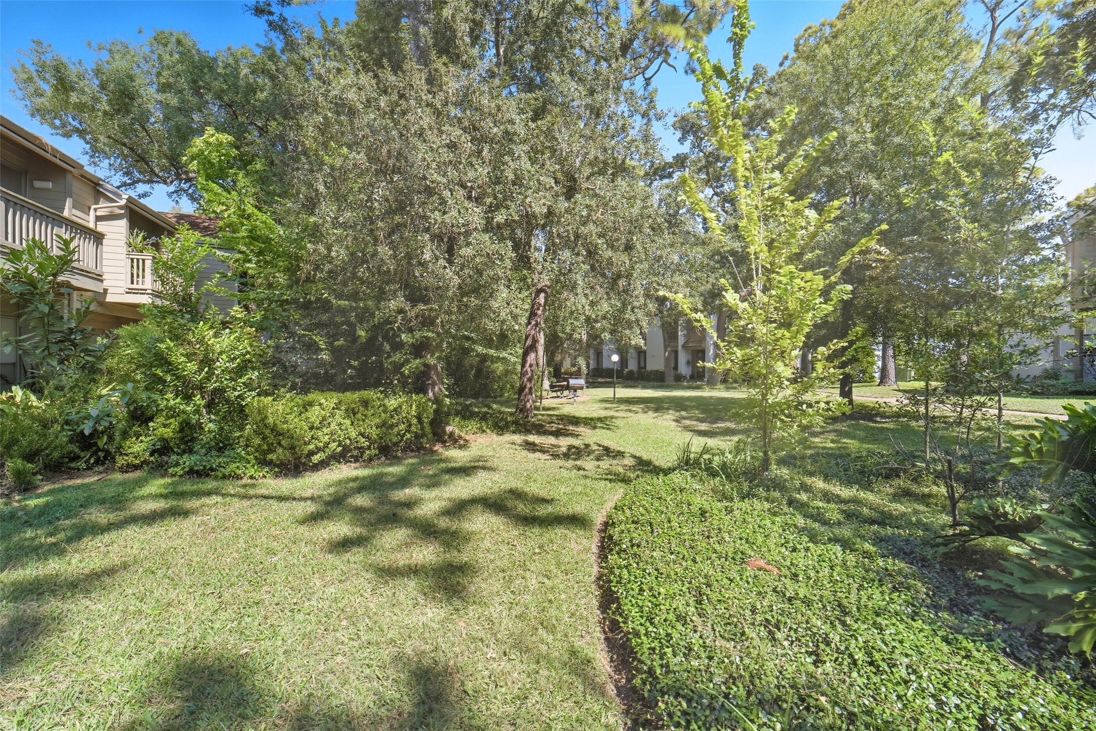 2100 Tanglewilde Street, Unit 625 Houston, TX 77063 - Photo 22 of 23 a view of outdoor space yard and green space
