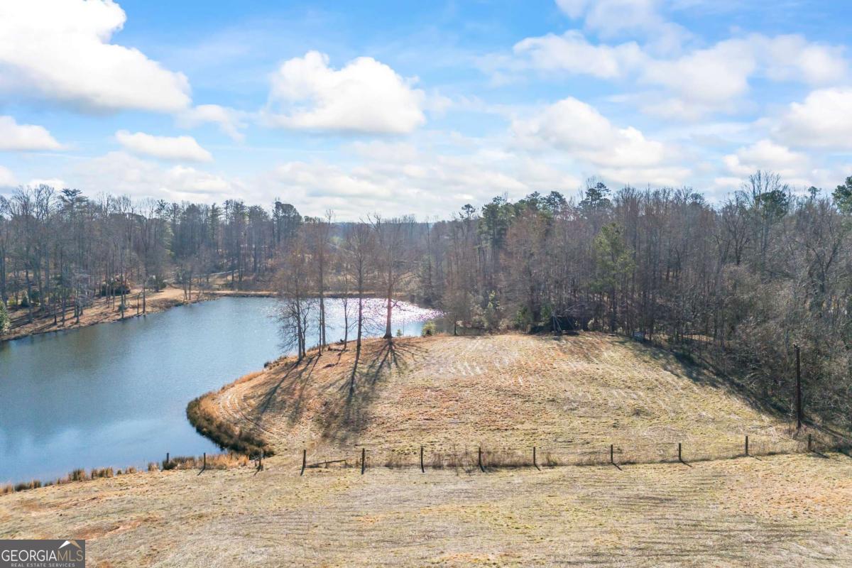 2894 Chase Road Cornelia, GA 30531 - Photo 4 of 63