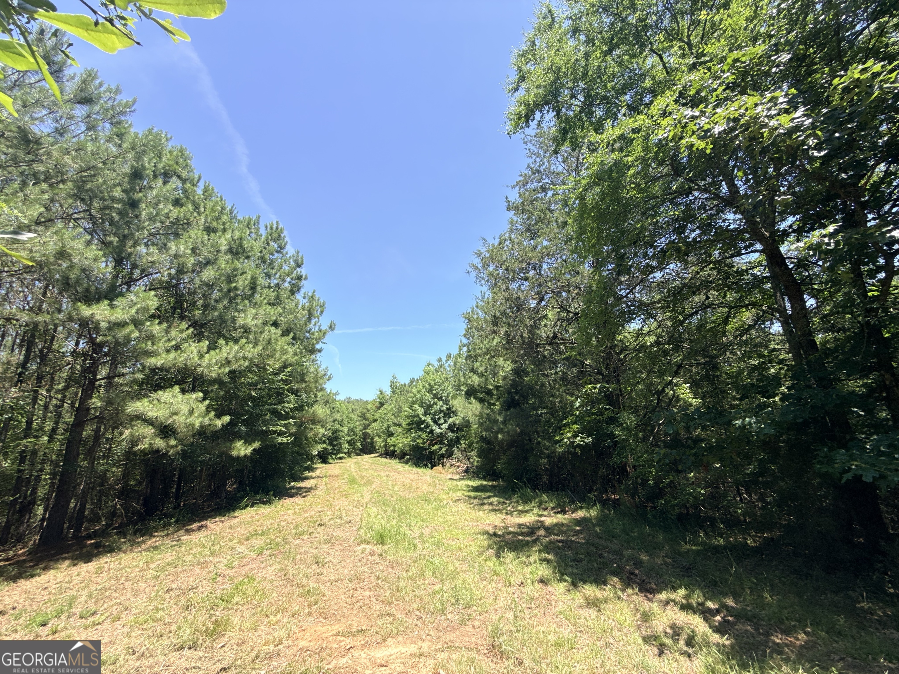 2807 Cedar Creek Road Elberton, GA 30635 - Photo 61 of 109