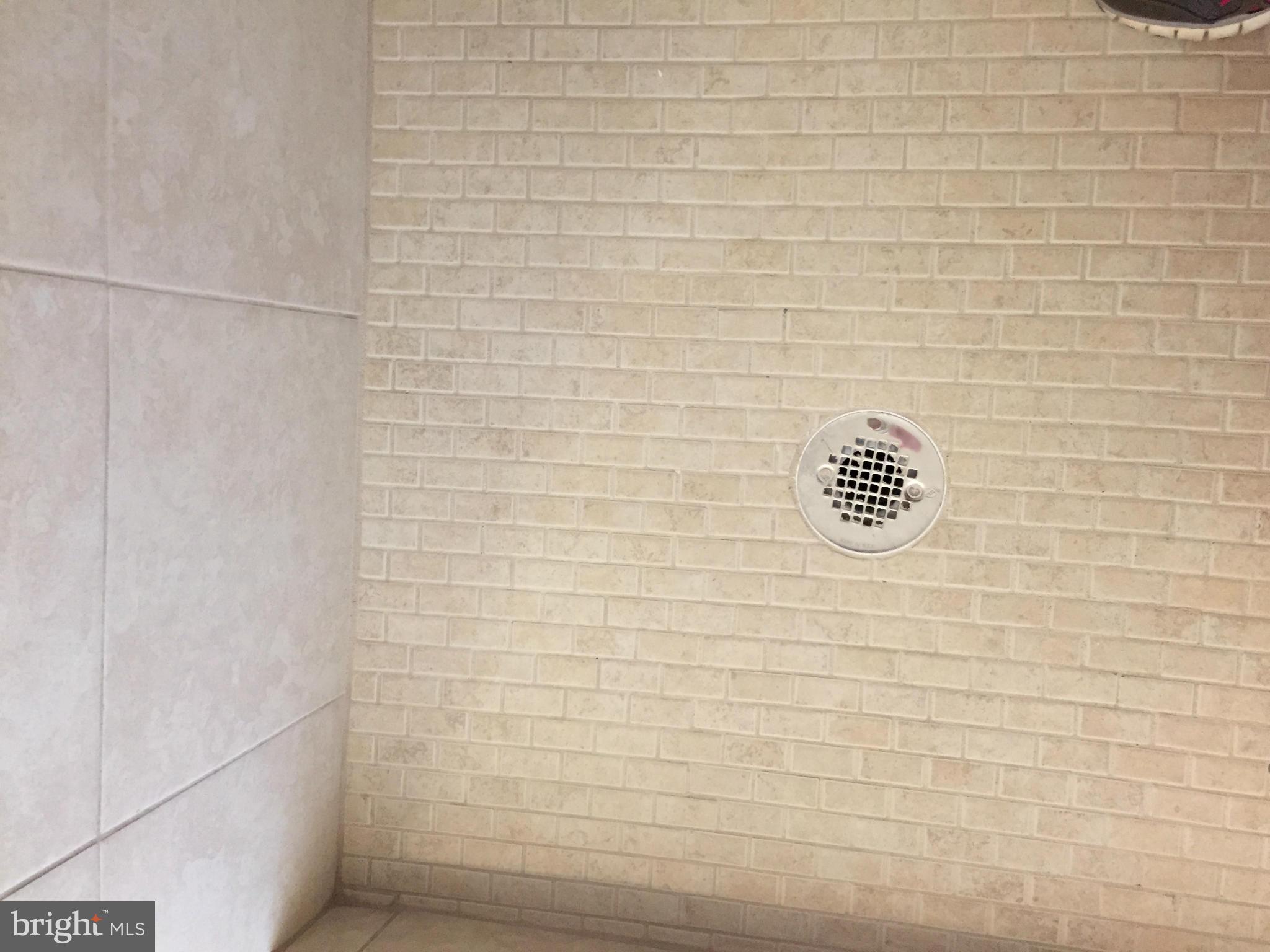9742 Luguna Road Middle River, MD 21220 - Photo 19 of 27 Quality Shower tiles