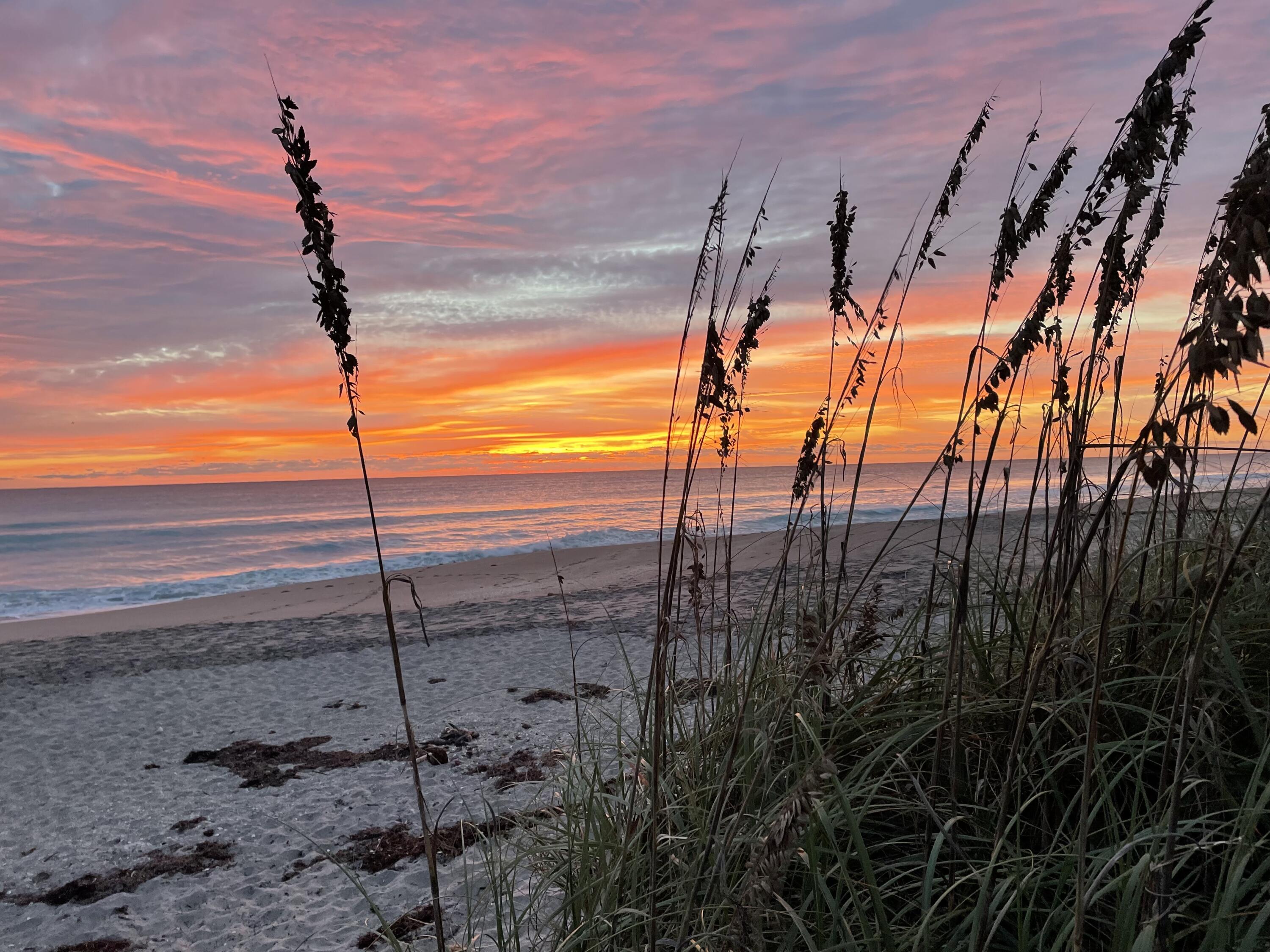 50 Celestial Way, Unit 207 Juno Beach, FL 33408 - Photo 2 of 30 a view of an outdoor space