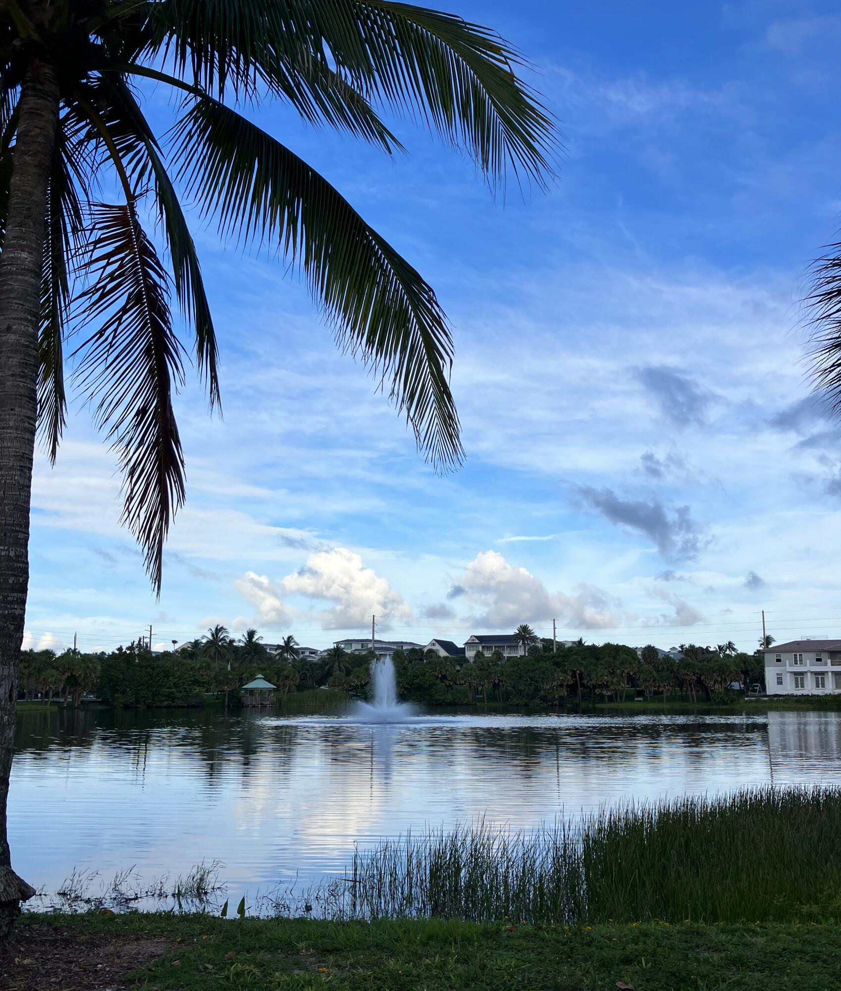 50 Celestial Way, Unit 207 Juno Beach, FL 33408 - Photo 29 of 30 a view of a lake with a palm and palm trees