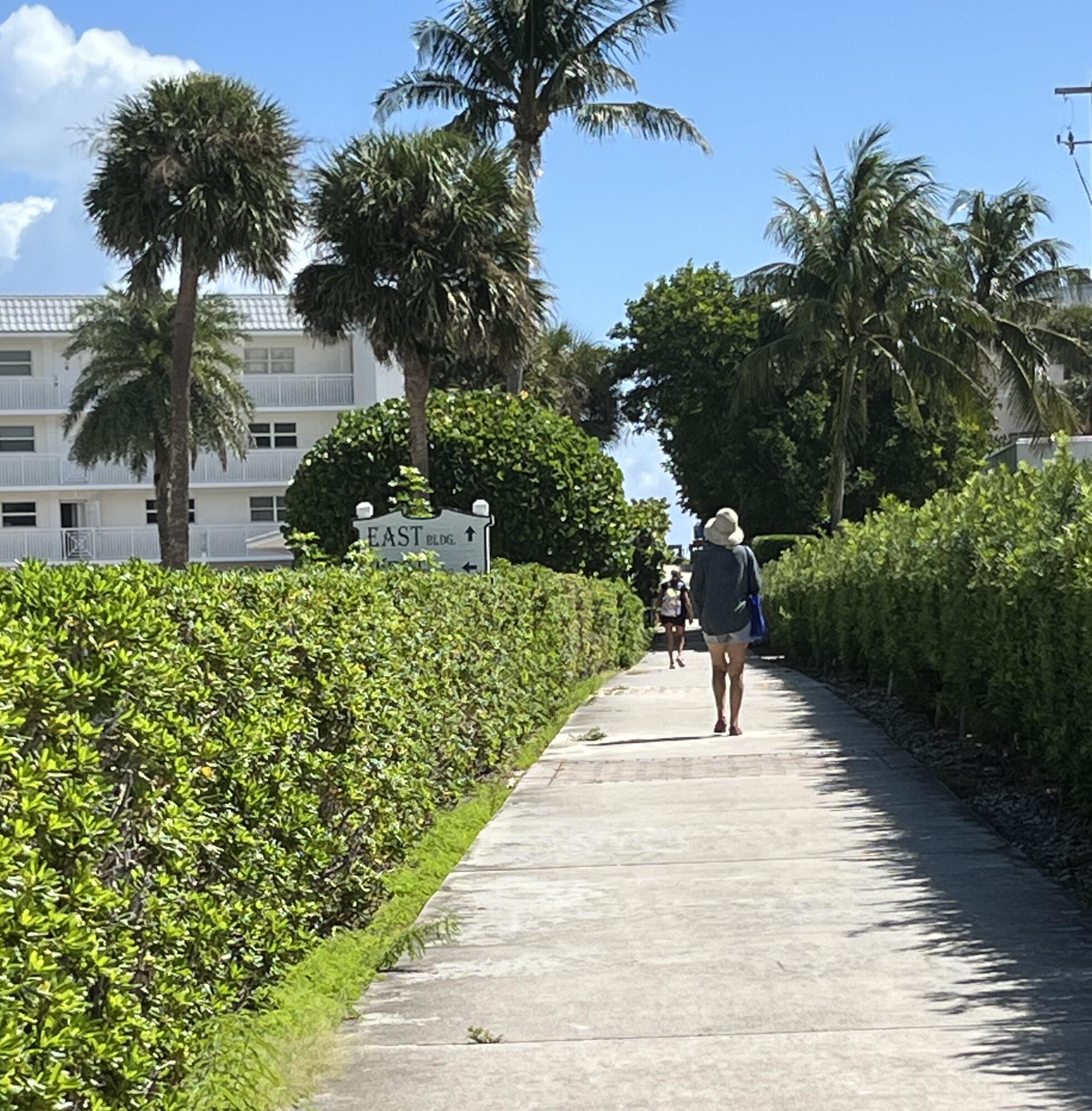 50 Celestial Way, Unit 207 Juno Beach, FL 33408 - Photo 4 of 30 a view of a garden with a bench