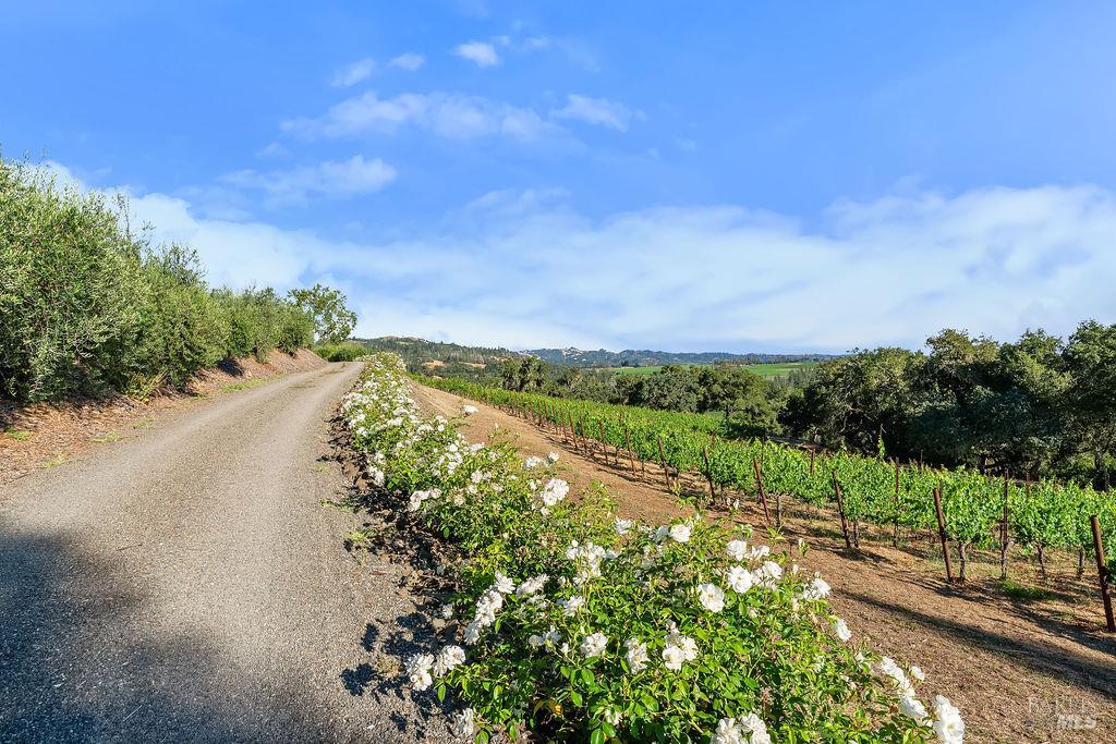 5232 Maacama Ridge Road Healdsburg, CA 95448 - Photo 34 of 41