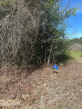 $38,000 | 0 Cochran Highway, Hawkinsville, GA 31036
