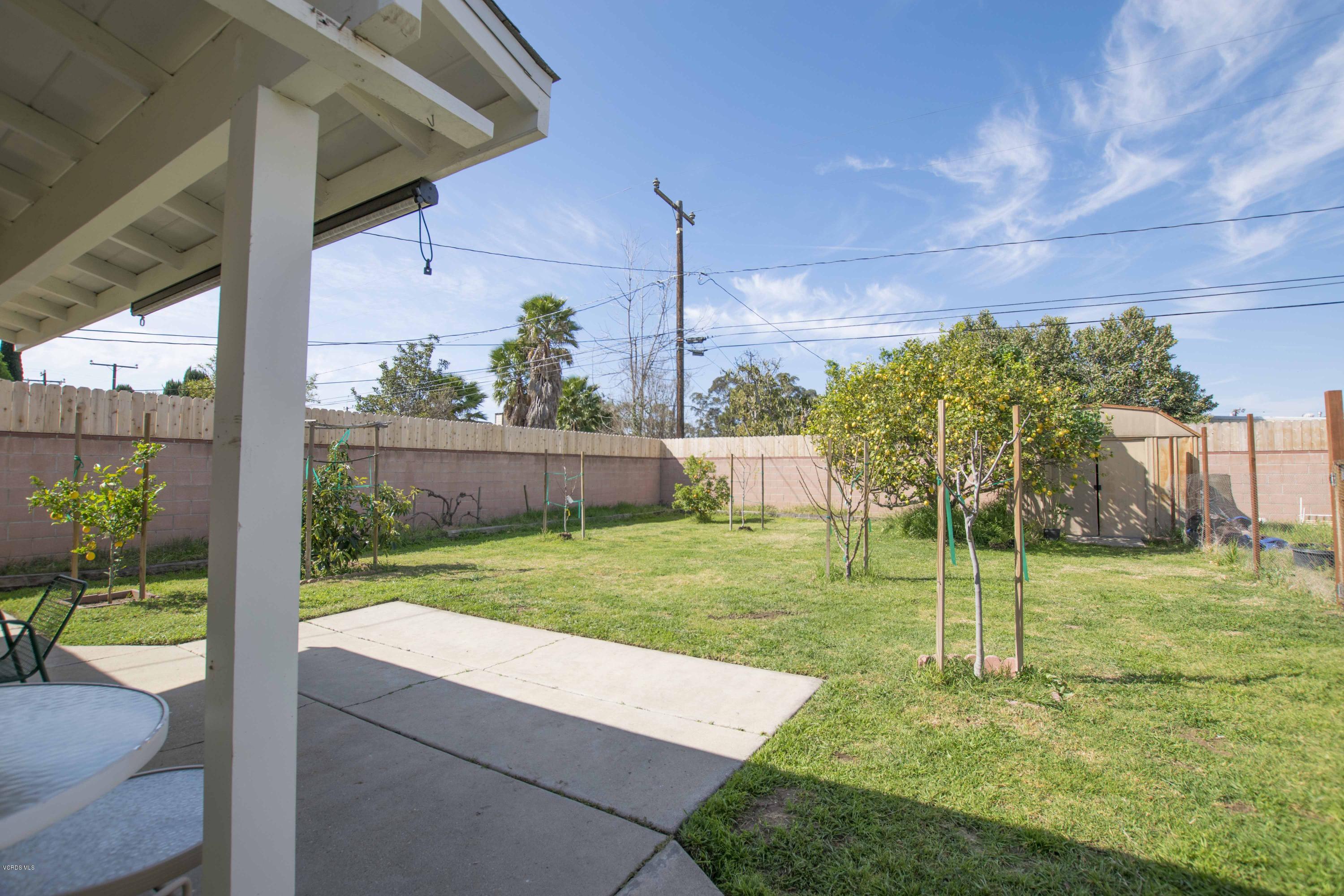 257 Rhodes Court Fillmore, CA 93015 - Photo 10 of 14 Backyard_257 Rhodes