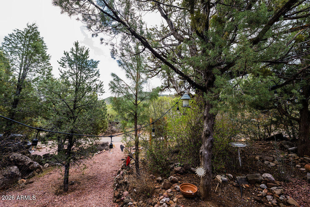 838 Palomino Way Payson, AZ 85541 - Photo 77 of 87 a view of a forest with trees