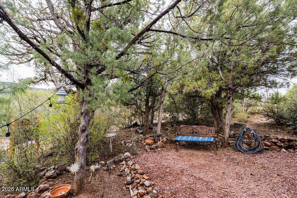 838 Palomino Way Payson, AZ 85541 - Photo 78 of 87 a view of a yard with large trees