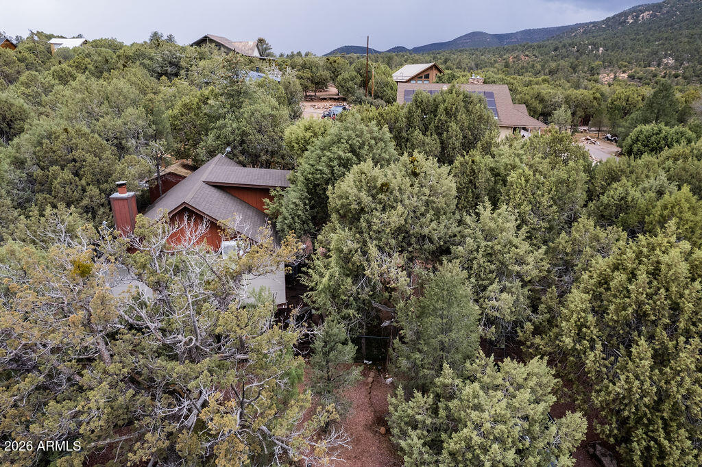 838 Palomino Way Payson, AZ 85541 - Photo 82 of 87 an aerial view of a house with a yard and mountain view in back