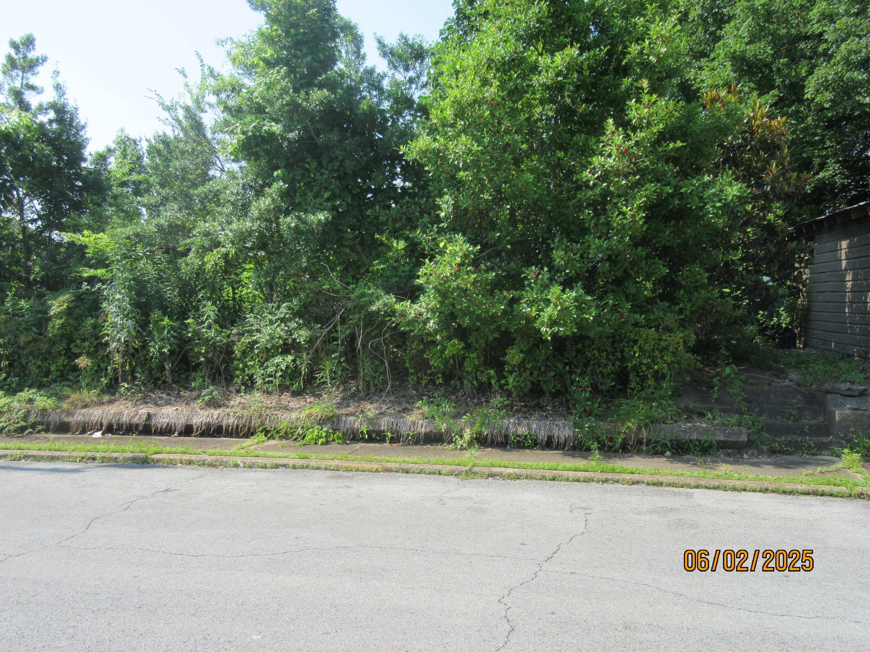 306 North Main Street Ripley, MS 38663 - Photo 14 of 35 Gallery Image 14