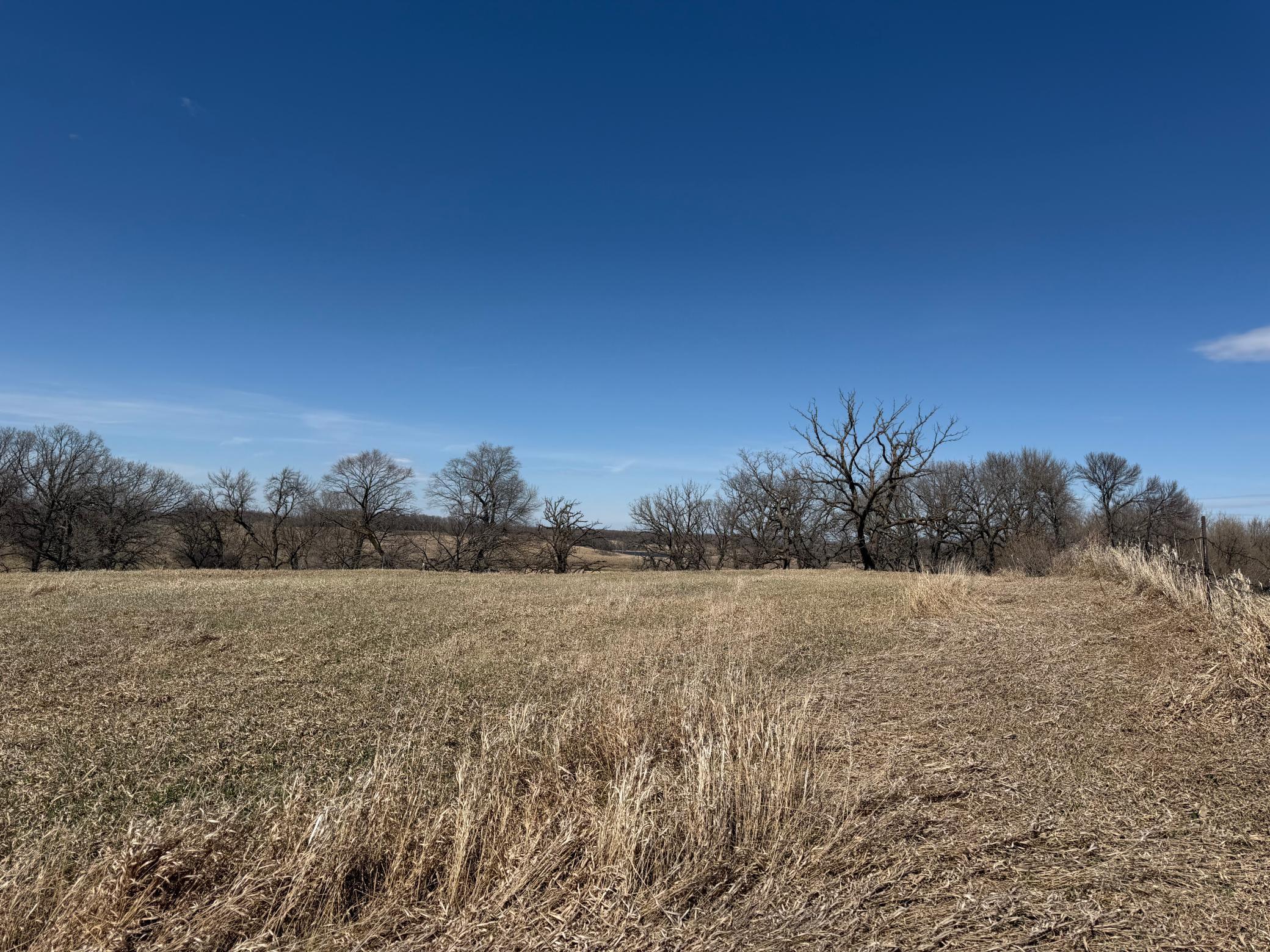 Tbd 255th Street Fergus Falls, MN 56537 - Photo 28 of 48