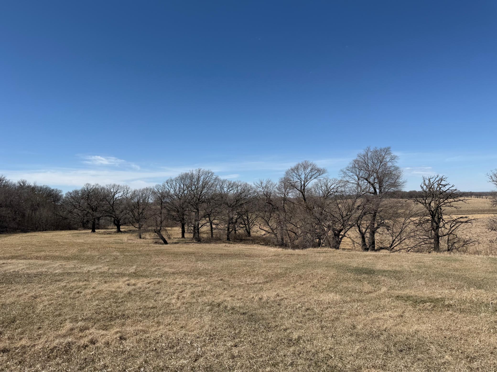 Tbd 255th Street Fergus Falls, MN 56537 - Photo 31 of 48