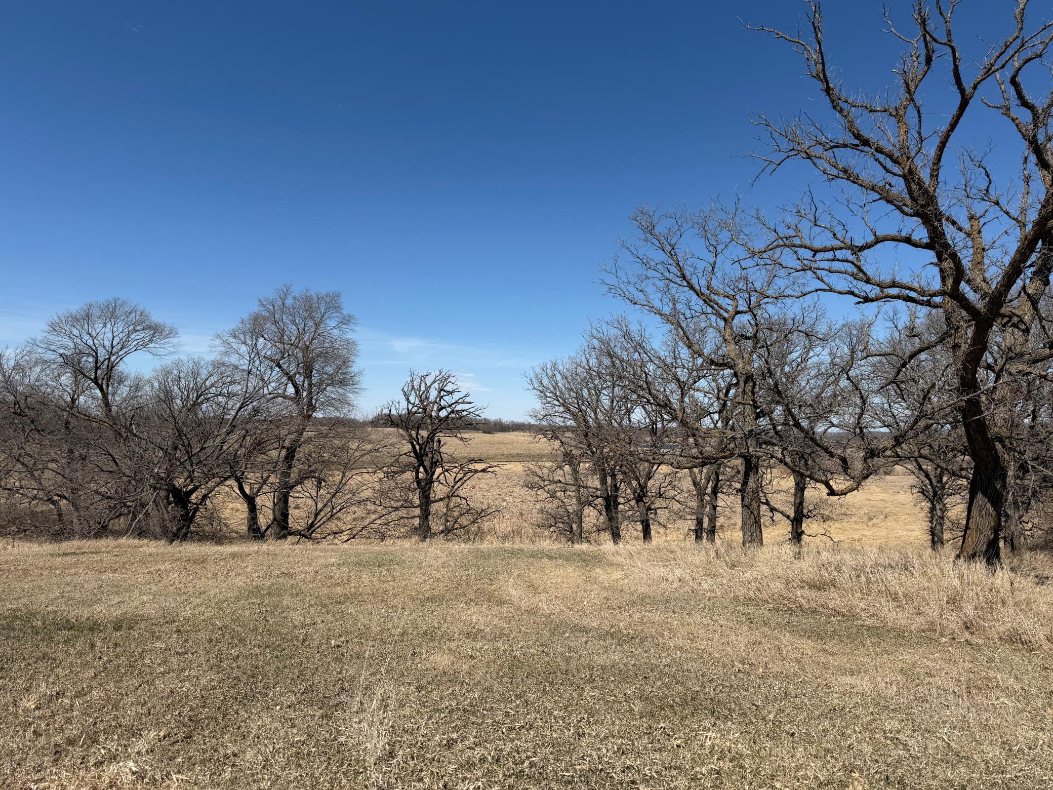 Tbd 255th Street Fergus Falls, MN 56537 - Photo 32 of 48