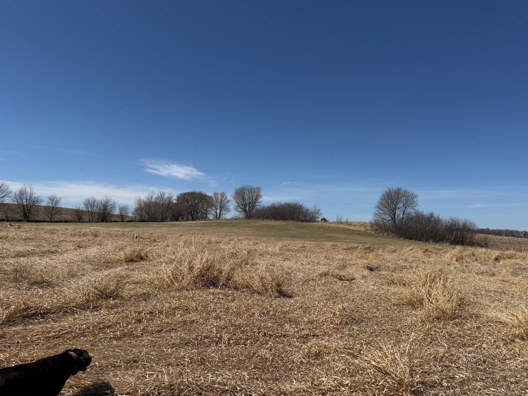 Tbd 255th Street Fergus Falls, MN 56537 - Photo 39 of 48