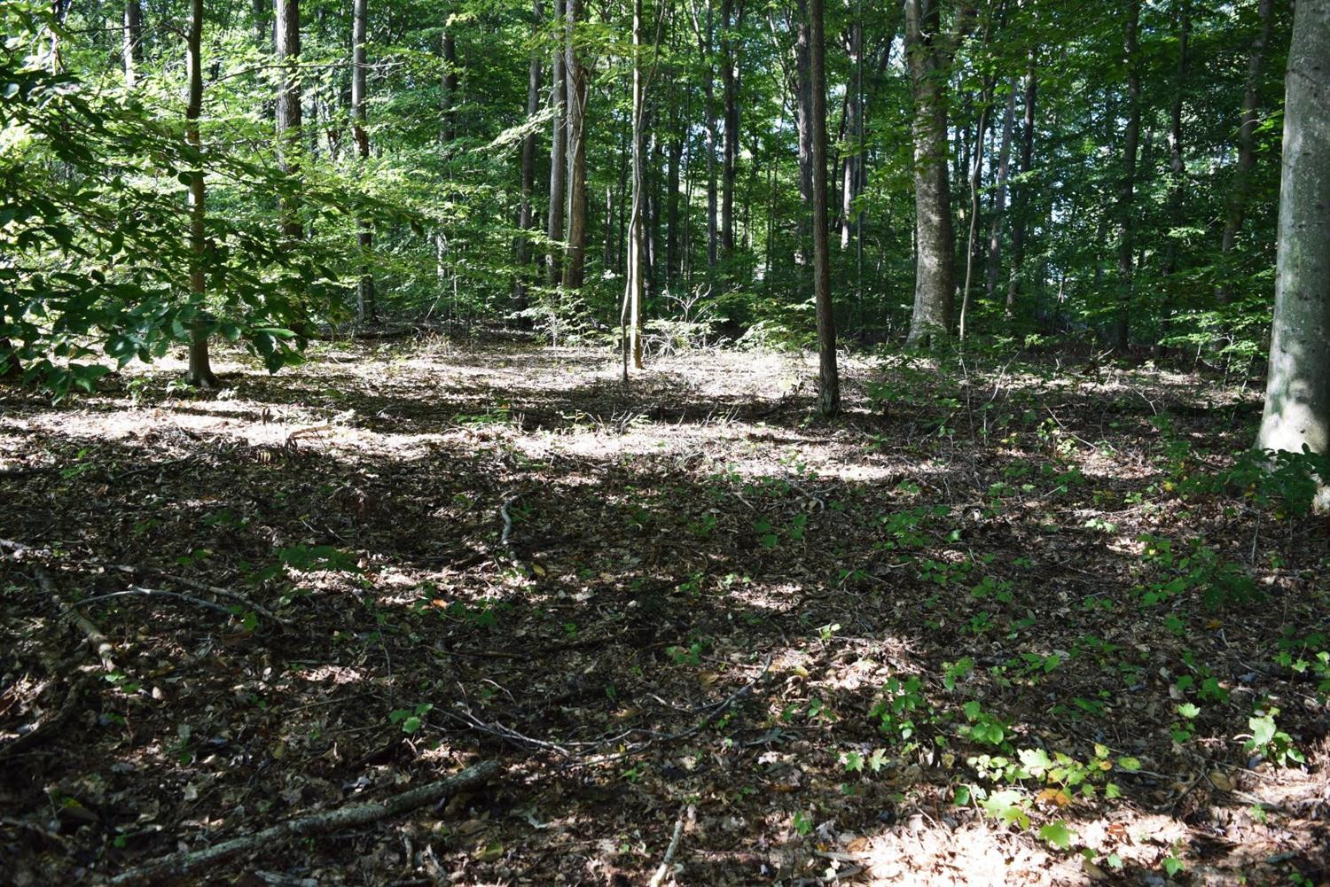 3 Hall Road Flemingsburg, KY 41041 - Photo 1 of 2 Photo 1