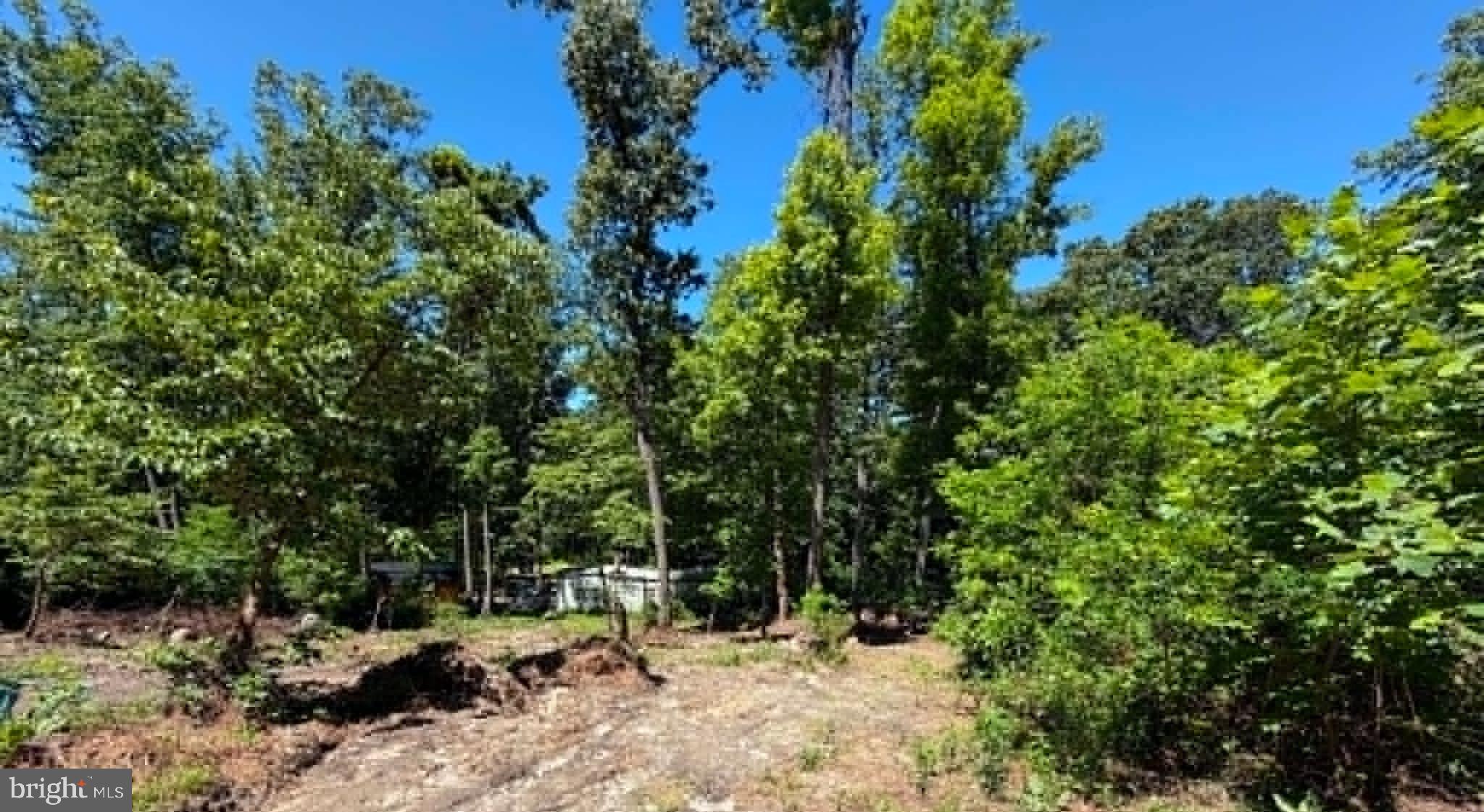 51 Cabin Road Augusta, WV 26704 - Photo 16 of 19