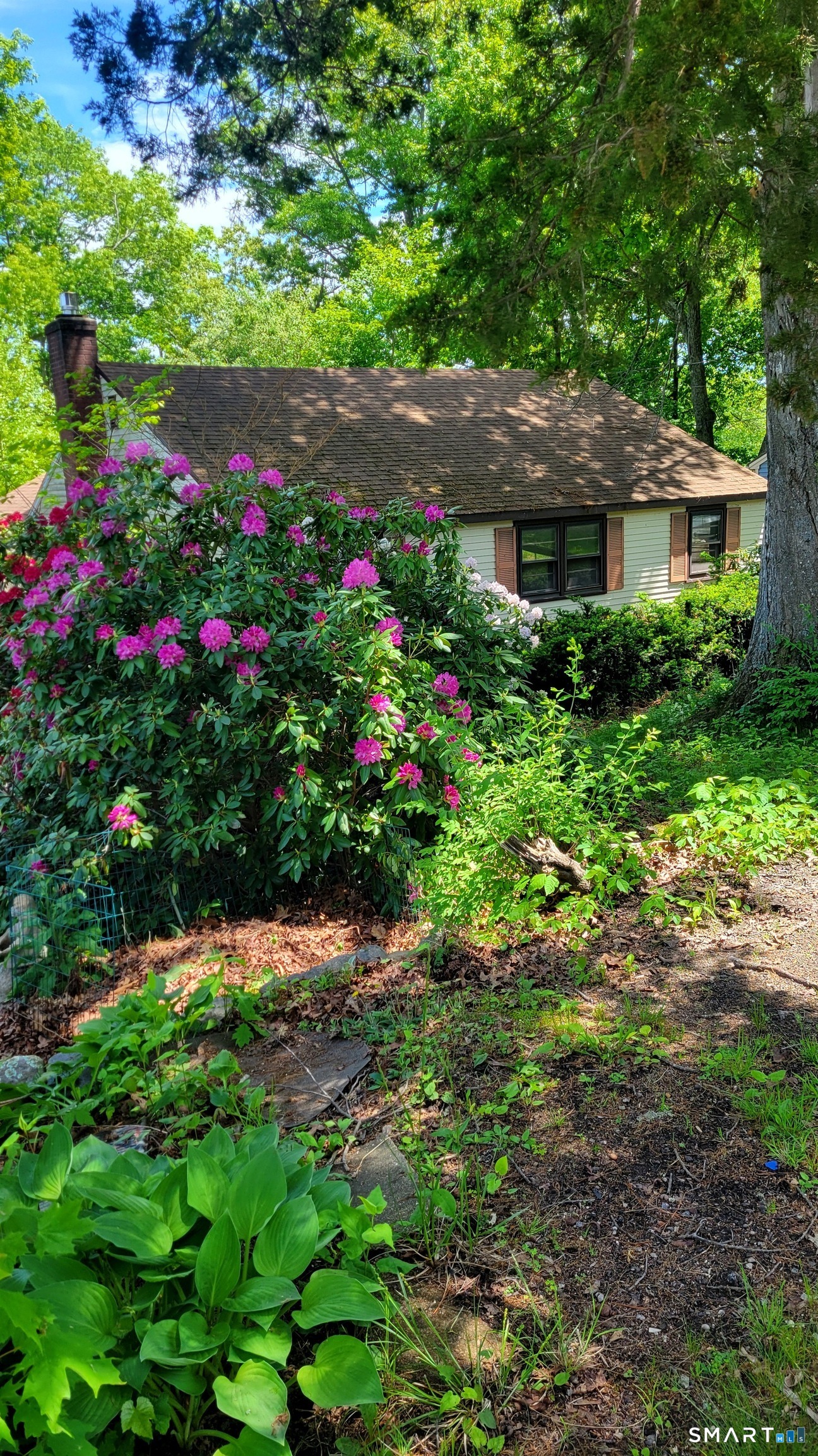 22 Ridgewood Road East Haddam, CT 06415 - Photo 2 of 28 Gorgeous plantings surround this year round home