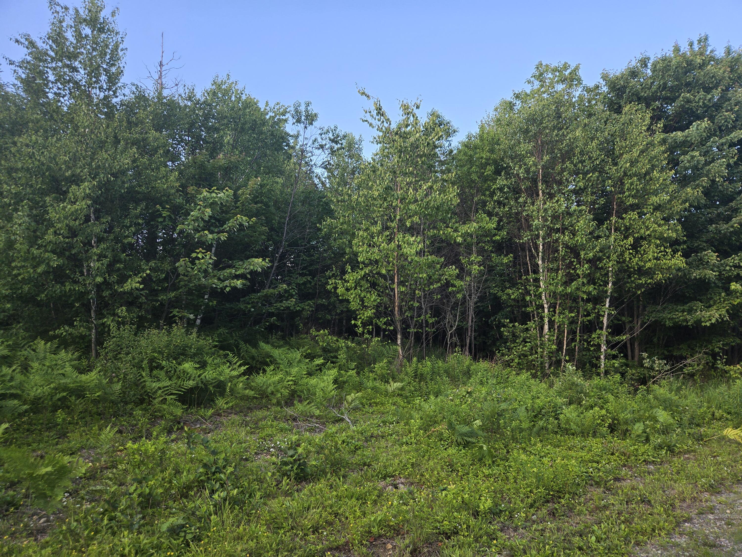 27 B6/17/24 Dixie Road Lubec, ME 04652 - Photo 3 of 15 20260624_190822