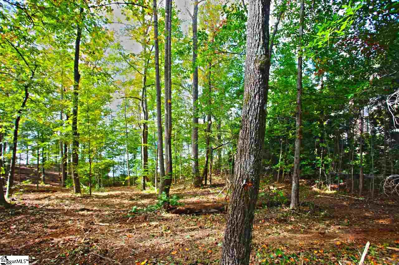 26 Barnes Road Seneca, SC 29672 - Photo 8 of 34 Gallery Image 8
