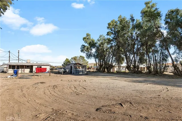 a view of road view with large trees