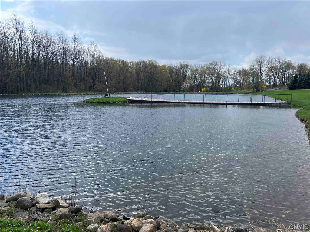 6697 Soper Road Perry, NY 14530 - Photo 41 of 50