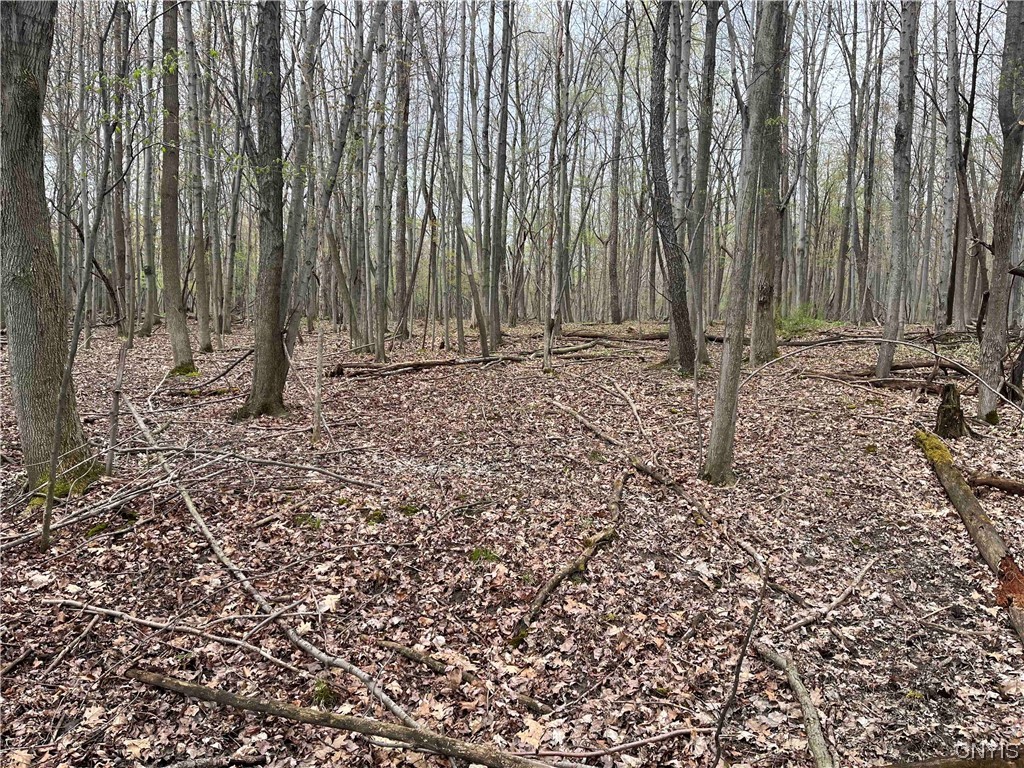 6697 Soper Road Perry, NY 14530 - Photo 43 of 50