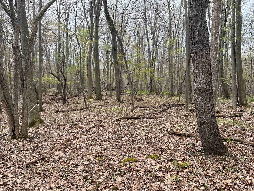 6697 Soper Road Perry, NY 14530 - Photo 44 of 50