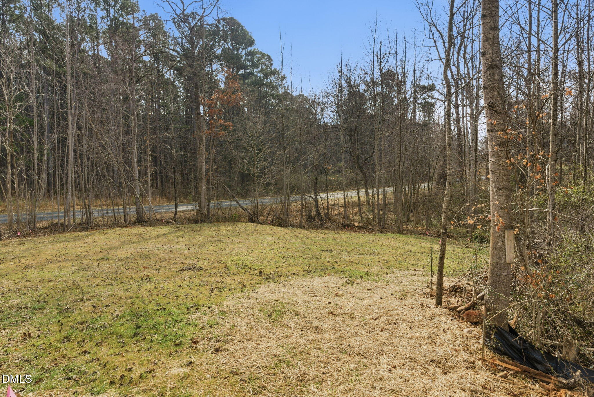 3649 Saxapahaw-Bethlehem Church Road Mebane, NC 27302 - Photo 63 of 69 a backyard of a house with a trees