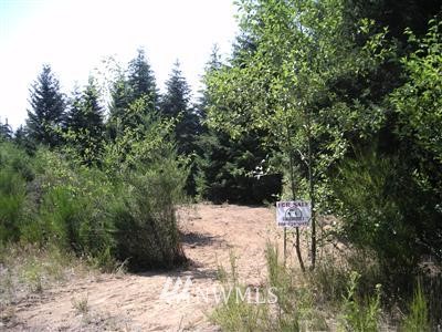 D7 D East Rasor Road West Belfair, WA 98528 - Photo 1 of 1 Gallery Image 1