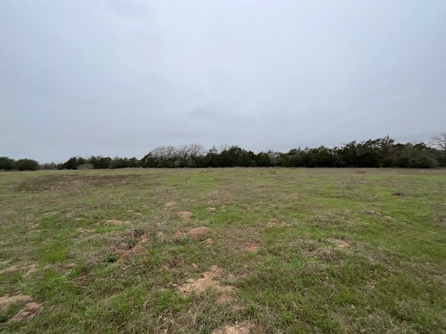 Tbd Cedar Rock Road Rosanky, TX 78953 - Photo 11 of 19 a view of a lake with houses in the back