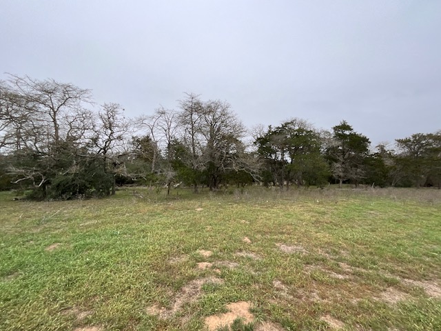 Tbd Cedar Rock Road Rosanky, TX 78953 - Photo 13 of 19 a view of a lake view