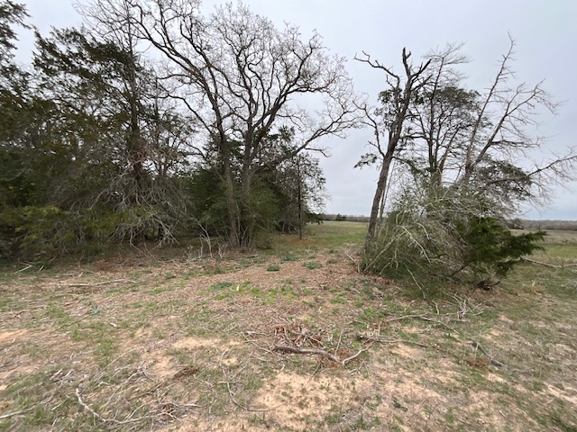 Tbd Cedar Rock Road Rosanky, TX 78953 - Photo 14 of 19 a view of a yard with a tree