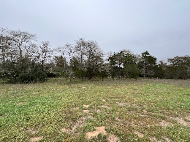 Tbd Cedar Rock Road Rosanky, TX 78953 - Photo 16 of 19