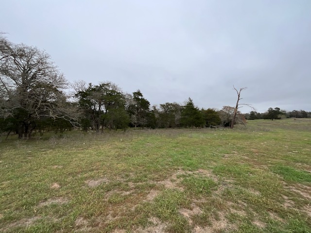 Tbd Cedar Rock Road Rosanky, TX 78953 - Photo 17 of 19 a view of lake