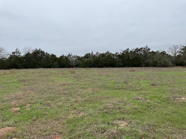 Tbd Cedar Rock Road Rosanky, TX 78953 - Photo 18 of 19 a view of outdoor space and lake view