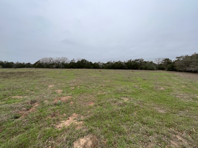 Tbd Cedar Rock Road Rosanky, TX 78953 - Photo 19 of 19