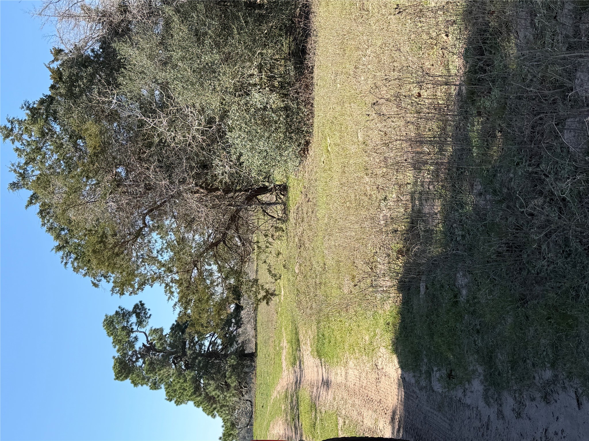 Tbd Cedar Rock Road Rosanky, TX 78953 - Photo 2 of 19 a view of an ocean beach