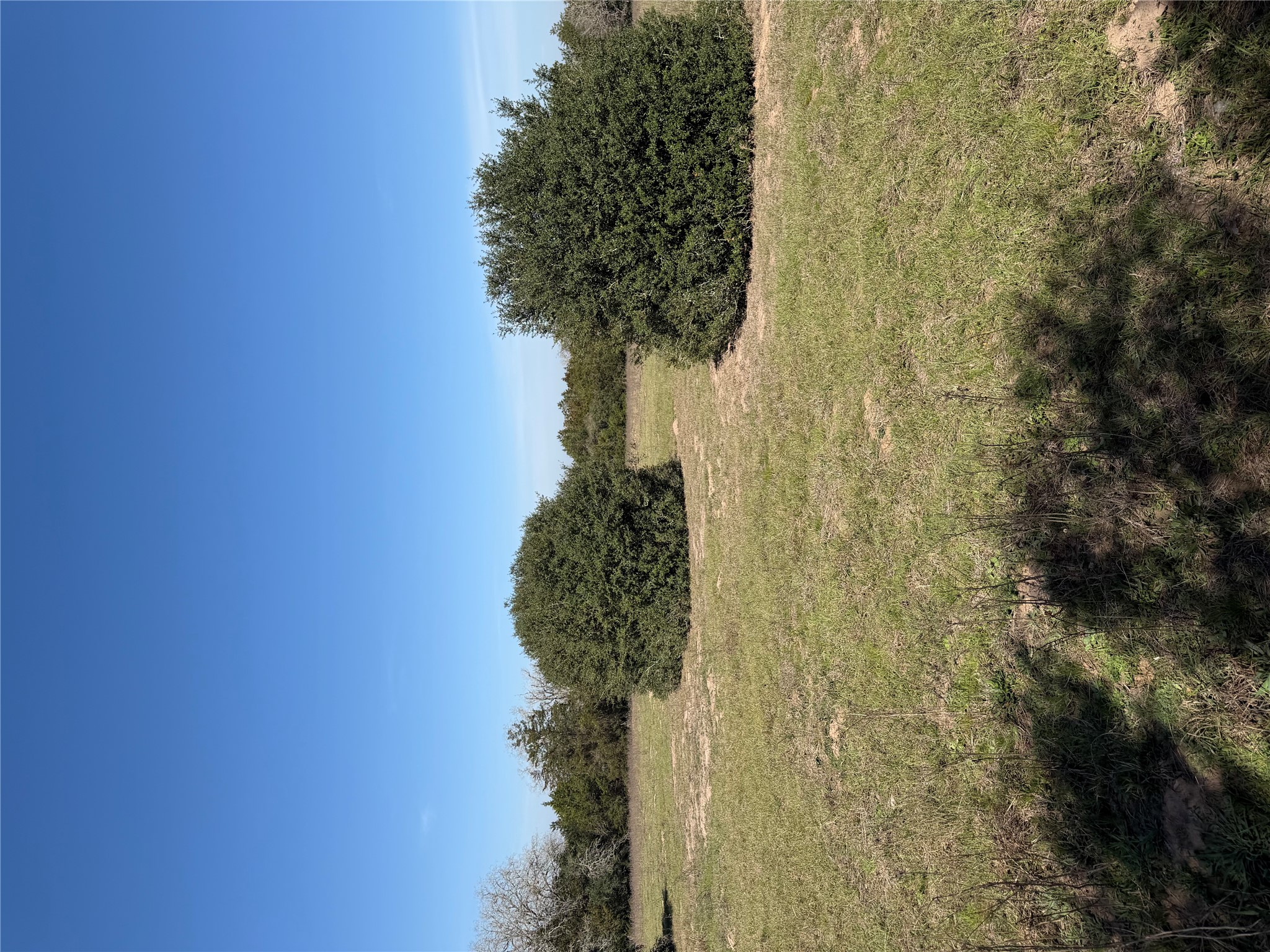 Tbd Cedar Rock Road Rosanky, TX 78953 - Photo 5 of 19 a view of lake view and mountain view