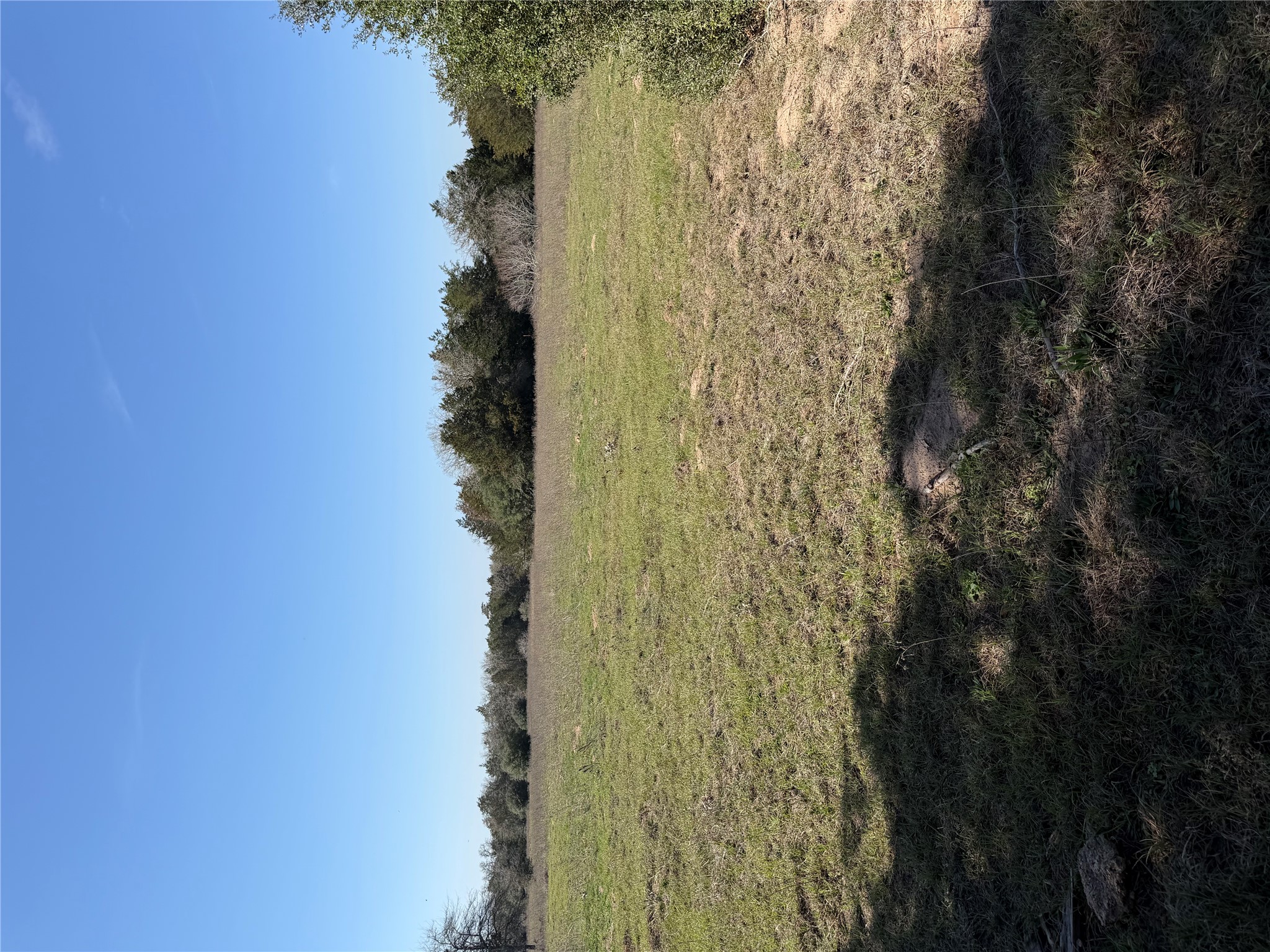 Tbd Cedar Rock Road Rosanky, TX 78953 - Photo 8 of 19 a view of ocean view