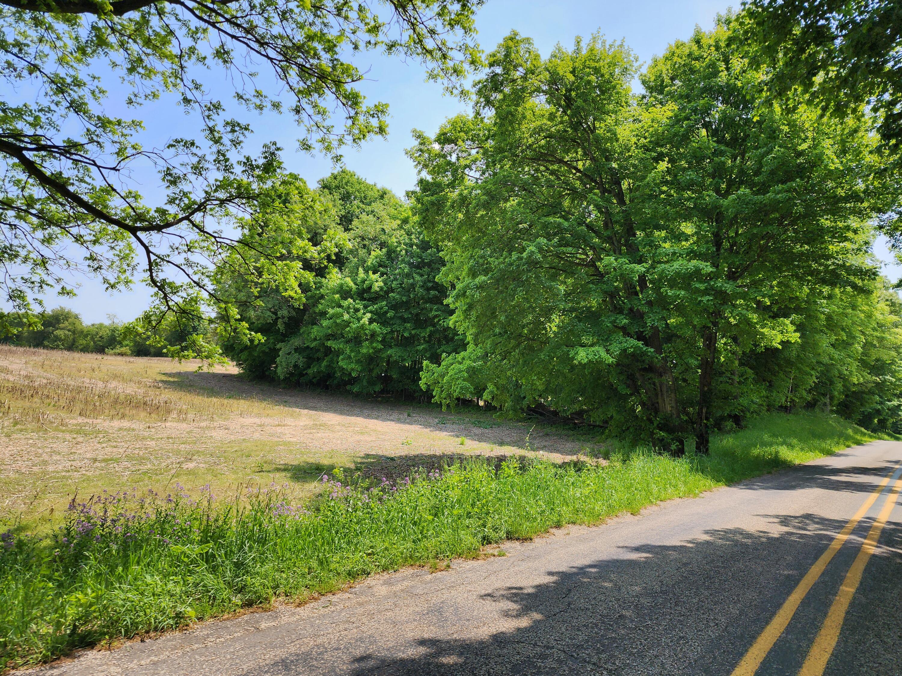 Lot B Abbey Road Three Rivers, MI 49093 - Photo 5 of 5 Lot b 5
