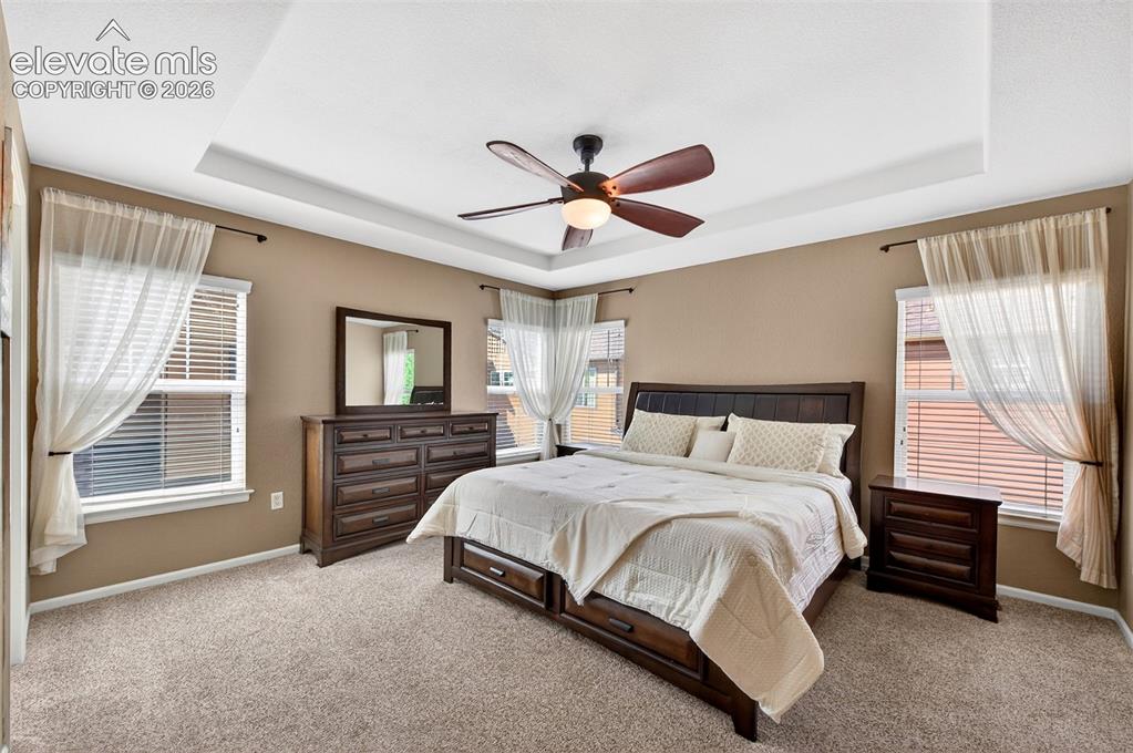 10648 Ashfield Street Highlands Ranch, CO 80126 - Photo 22 of 49