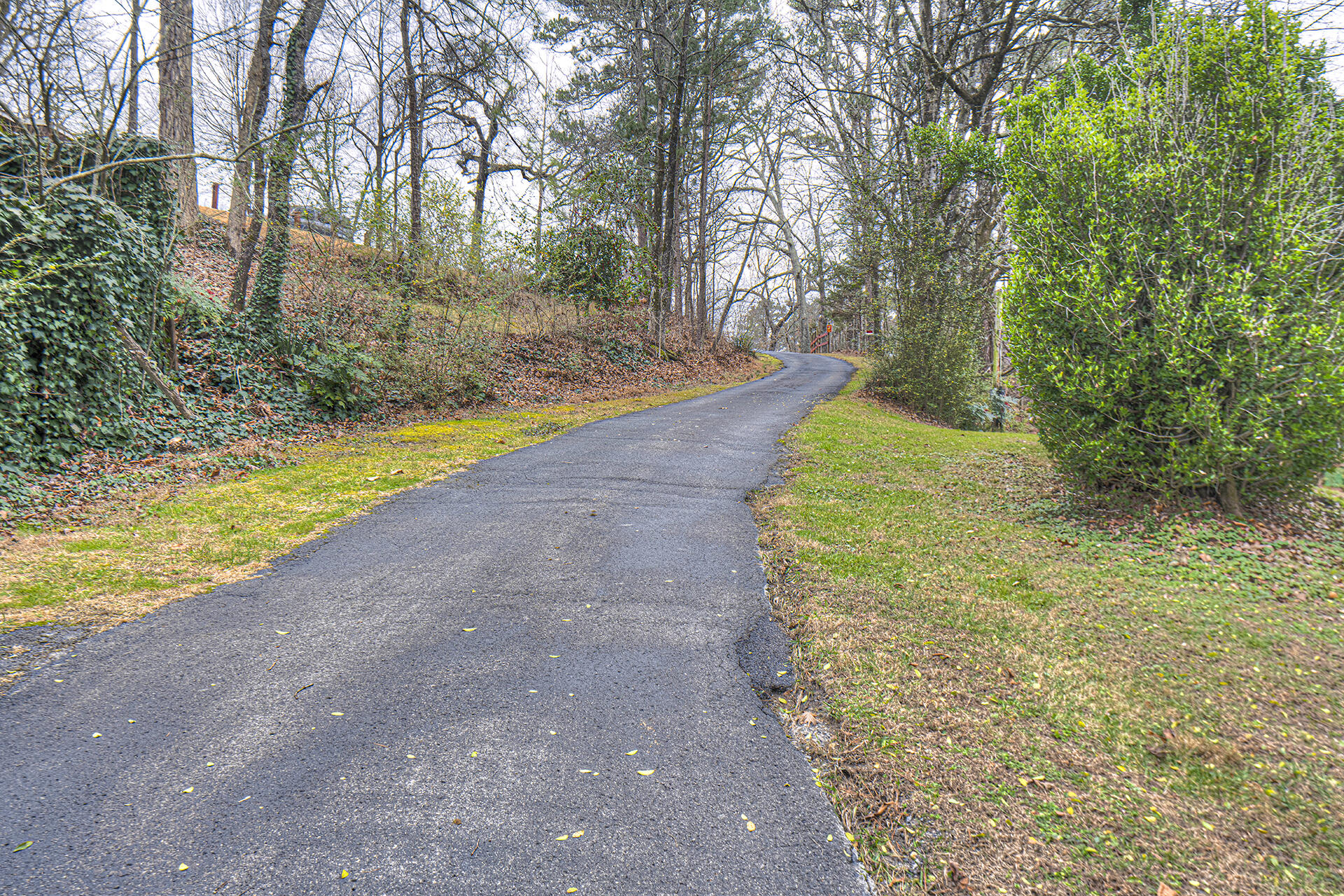 81 Shrader Lane Ringgold, GA 30736 - Photo 1 of 23 Private paved driveway