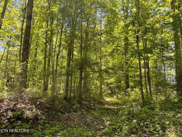 $150,000 | Rob Watson Road, Oneida, TN 37841