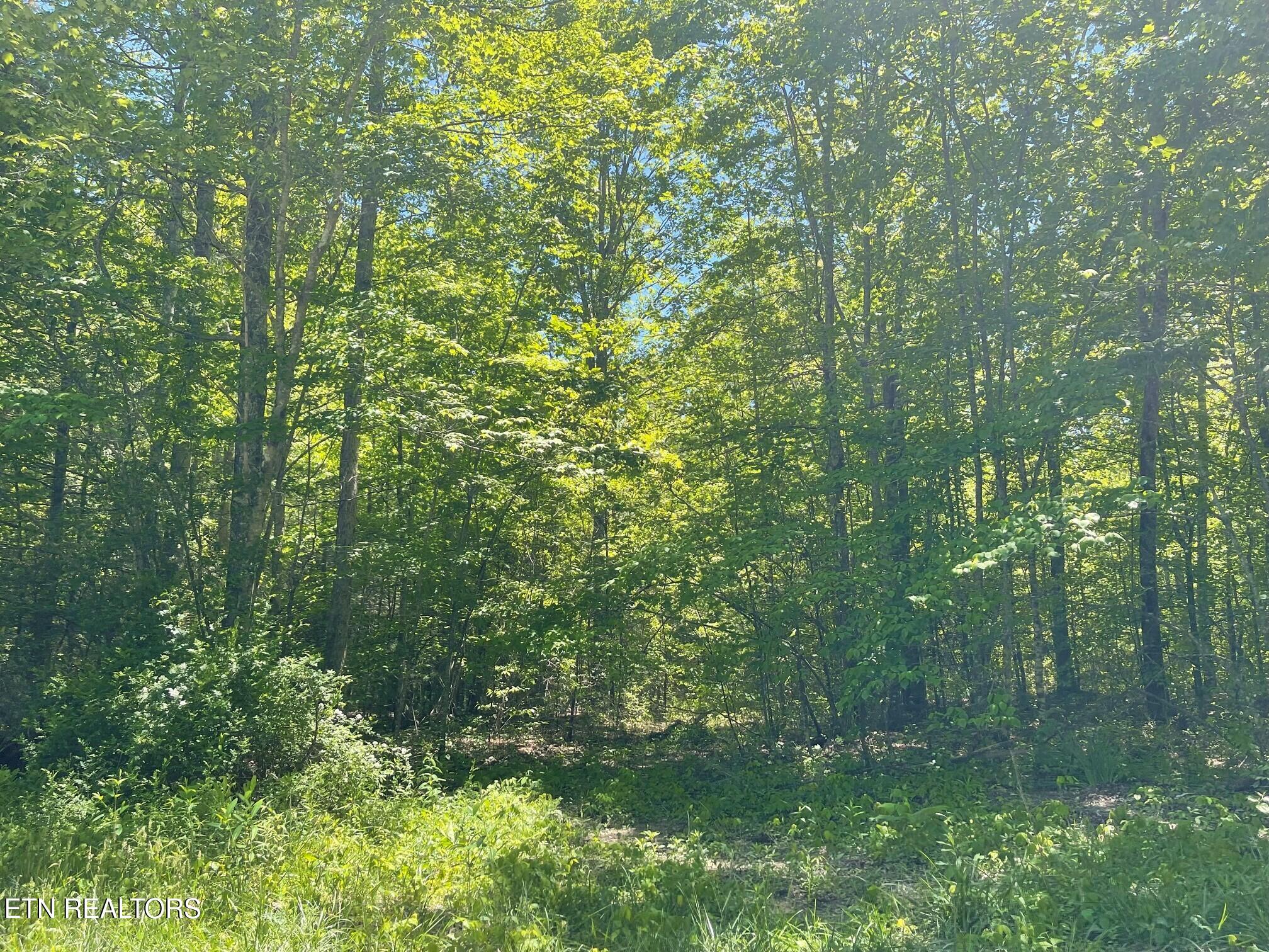 Rob Watson Road Oneida, TN 37841 - Photo 2 of 5 02