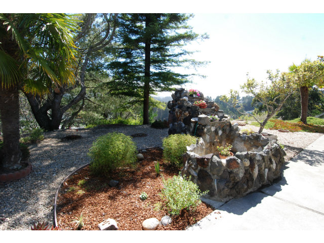 25 Point Reyes Way Pacifica, CA 94044 - Photo 14 of 22 a view of street with lots of trees