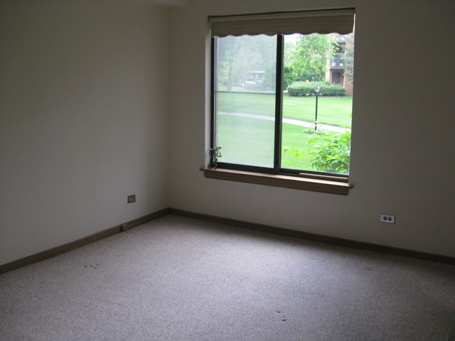 950 East Wilmette Road, Unit 128 Palatine, IL 60074 - Photo 10 of 25